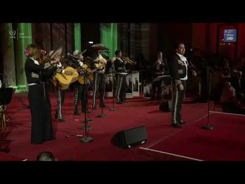 Fercho Hernández en directo